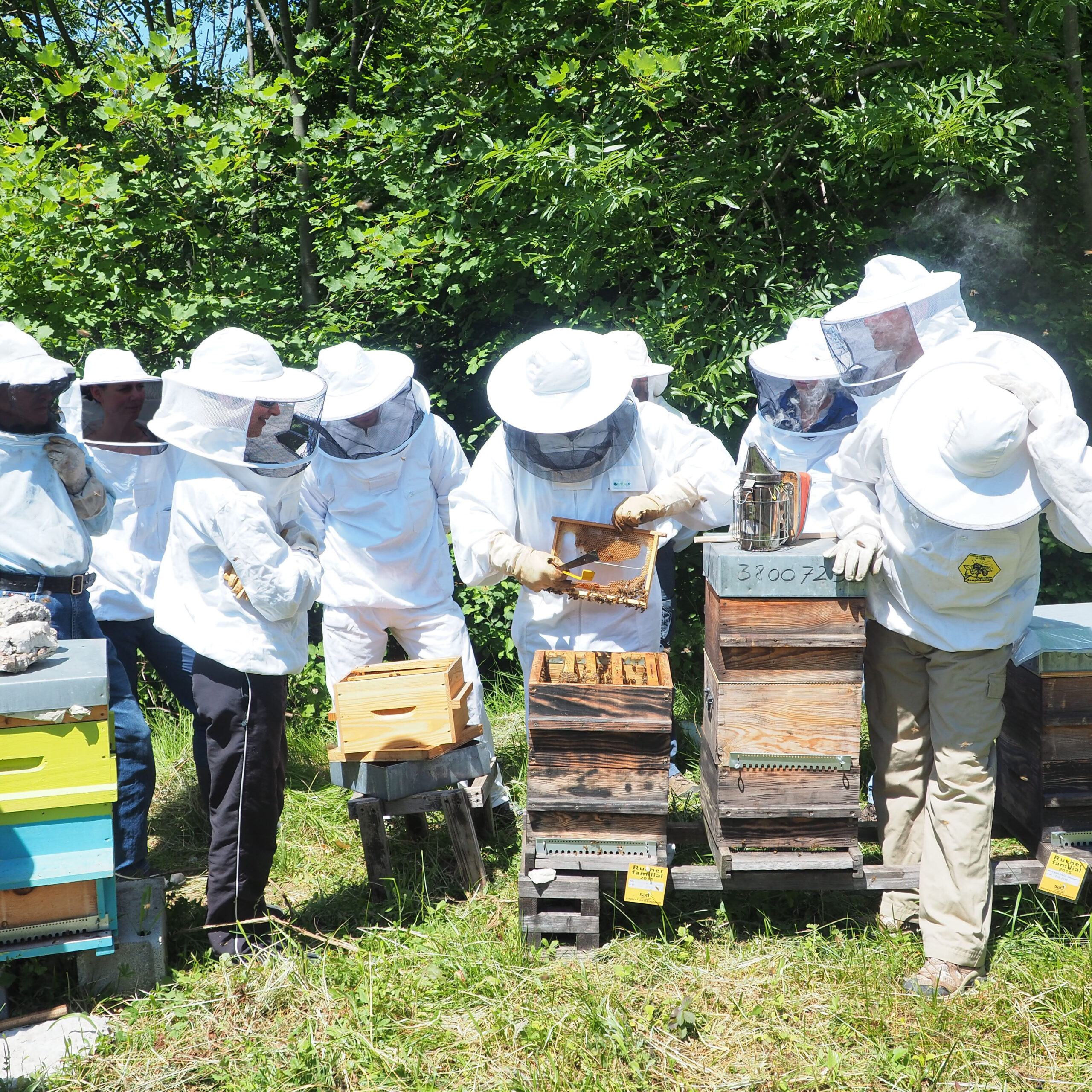 Kurse zur Bienenhaltung Niederbayern